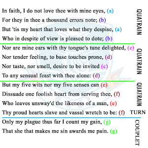 Sonnet 141 - William Shakespeare